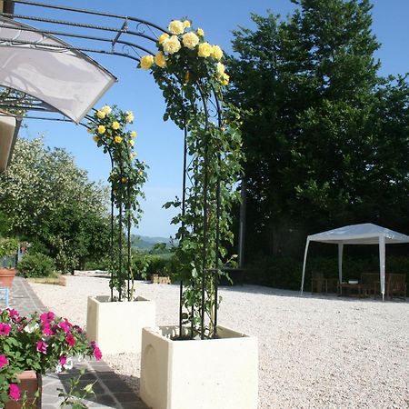 B&B La Fenice Montegridolfo Eksteriør billede